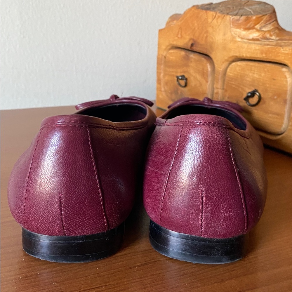 Bass Tutu Ballet Flats - Picture 6 of 10